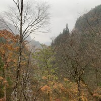 レヴォ - 