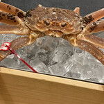 三宅輝 - ・松葉蟹