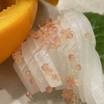 三宅輝 - ・アオリイカ 真鯛