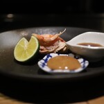 GRIDDLE FORCE 逸楽 - 