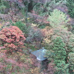 萬国屋 - 部屋から見下ろす紅葉