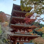 Yamatoya Bekkan - 五重塔と紅葉