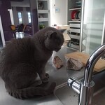 ルヴァン - パンと伝次郎