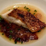 蒼 - 真鯛 本日の仕立て