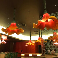 CANNA - 