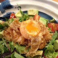 天ぷら もっこす - サラダ丼