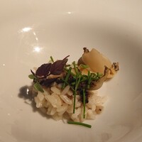 International cuisine subzero - 