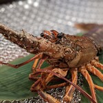Ginza Teppanyaki Suburimu - 