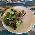 アマルフィイ デラセーラ - 