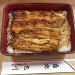 Unagi Irokawa - 