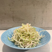 CINA New Modern Chinese - 