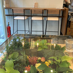 ADA Kichijoji - The restaurant features a counter and table seating with floral decorations.