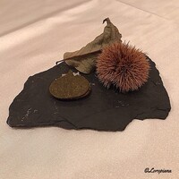 モン・フレーブ - ｻﾌﾞﾚｰとﾌｫﾜｸﾞﾗと栗のﾍﾟｰｽﾄ