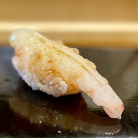 鮨 十兵衛 - ⑥牡丹海老（福井）～牡丹海老は、北海道だけではありません。