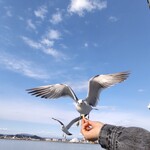 さかな屋食堂ウロコジュウ - 