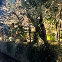 熱香森 - 
