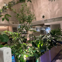 熱香森 - 