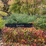 エグ・ヴィヴ - 