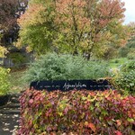 エグ・ヴィヴ - 