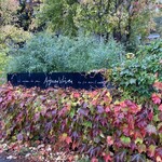 エグ・ヴィヴ - 