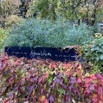 エグ・ヴィヴ - 