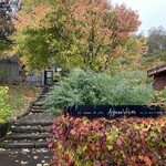 エグ・ヴィヴ - 