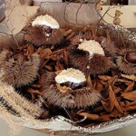 SETTAN - 栗ひろい