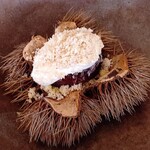 SETTAN - 栗ひろい