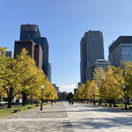 TRATTORIA CREATTA - イチョウの紅葉は外苑前より落ち着いて楽しめた♪