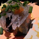 回転寿司酒場 銀座沼津港 - 生しらす