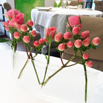 オテル・ドゥ・ミクニ - 可憐なバラとバラの実