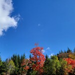 Restaurant Koo - 信濃追分的天空