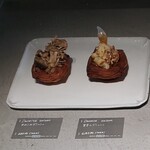 ASAKO IWAYANAGI SALON DE THE - 