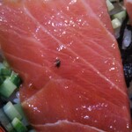 すし処 若 - とろ漬け丼…の
      トロ…1枚ドアップで〜(*´艸｀*)♡
      黒いのは虫では無くて…海苔ですね(^_^;)(汗)
      うっかり付けたまま写メってました…反省Σ(ﾟ∀ﾟﾉ)ﾉ
      胡瓜もある方が食感好きだわ〜♡