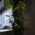 ASAKO IWAYANAGI SALON DE THE - 