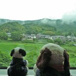 tembouresutoranrupondwusheru - ボキらはこれから岐阜県に日帰り旅行に出掛けるところなの。まずは近鉄線で大阪上本町駅から名古屋駅まで乗って行くよ。名古屋駅からはJRで岐阜駅に。車窓からの眺めがいいねえ。
