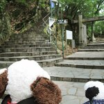 tembouresutoranrupondwusheru - ということで、あっという間に山頂に。あれ、岐阜城は？？ちびつぬ「つぬっこちゃん、ここからまだ登って行くみたいよ、、、」
