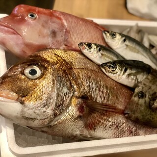 【鲜度和美味超群】 从濑户内海的宫洼渔港直送的鲜鱼