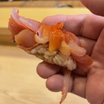 鮨駒 - 貝柱や紐迄シッカリ内蔵で一同悶絶‼︎余韻がずーーっと続いて半端無かったです