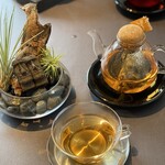 プレゼンテ スギ - 