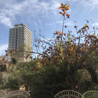 TOOTH TOOTH GARDEN RESTAURANT - 
