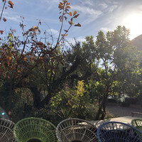 TOOTH TOOTH GARDEN RESTAURANT - 