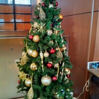 ポム・ダダン - 