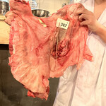 炭火焼肉ホルモン うらら - ハラミサガリ