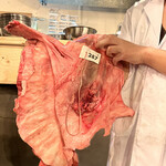 炭火焼肉ホルモン うらら - ハラミサガリ