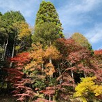 四季彩料理　藤美 - 曾木公園