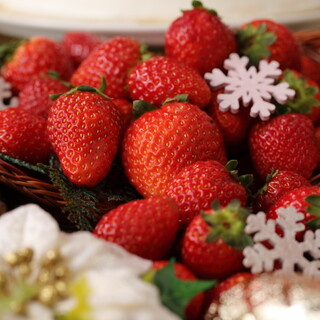 イーエックスガーデンカフェ_2