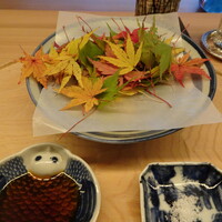 東山 緒方 - 緒方式紅葉