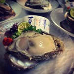 魚ダイニング光 - 【夜席】鳥取のミルク天然岩牡蠣