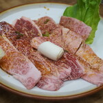 スタミナ苑 - 中切り落とし